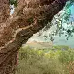 Nüvə sirrinin sonu? Yeraltı Silah Sınaqları “İndi 99% Dəqiqliklə aşkar edilə bilər”