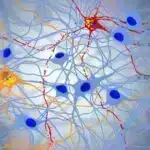 MIT Protonların Rəqsini Açdı: Pioner Enerjinin Yeni Erası