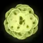 Qalaktikanın formalaşmasının arxasındakı sirlərin açılması