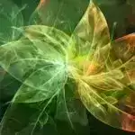 Mur qanununu pozmaq: İşıq Materiyası Yüngül Sürətli Hesablamalara doğru irəliləyişi sürətləndirir