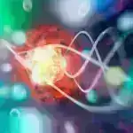 Demistifising Vision: Optik İllüziyalar Sinir Yollarını İşıqlandırır