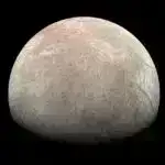 50 Qlobal Mütəxəssis Xəbərdarlıq edir: Texnologiyaya əsaslanan AI-ni dayandırmalıyıq