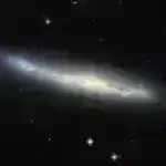 Birliyin əks-sədaları: Qlobal Ritmlərin Görünməz İpləri