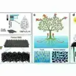 Kompakt atmosfer suyu yığan cihaz nazik havadan su çıxara bilər