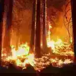 Londonda nəqliyyat vasitələrinin məhdudlaşdırılmasından sonra havanın çirklənməsi azalır: