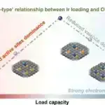 Görünməz Hücum: Yeni Tədqiqat HİV-in Hüceyrə Təhlükəsizliyini necə üstələdiyini göstərir