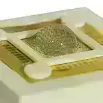 NASA ilk 4K videonu təyyarədən kosmik stansiyaya və geriyə yayımlayır