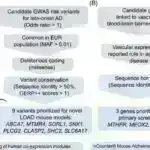 Tədqiqat, kök hüceyrələrini hədəf alaraq leykemiya ilə mübarizəyə dair yeni anlayışlar təqdim edir