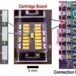 Mütəxəssislər birbaşa dəniz suyunun elektrolizindən yaşıl hidrogen əldə etmək üçün şırıngaya qarşı xəbərdarlıq edirlər