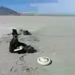 Klinik sınaq: Nəcis nəqli GI xərçəngi olan xəstələrin yarısına immunoterapiya müqavimətini aradan qaldırmağa kömək edir