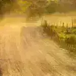 Kompakt atmosfer suyu yığan cihaz nazik havadan su çıxara bilər