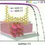 Kosmosda gəzinti əzələsi mikroqravitasiyanın səbəb olduğu əzələ zəifləməsi üçün dərmanları sınaqdan keçirir