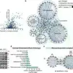 Mars tektonikası: vulkanlar bildiyiniz hər şeyə meydan oxuyur