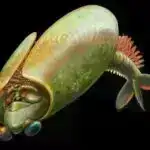 116-cı elementi düzəltməyin yeni yolu daha ağır atomlara qapı açır