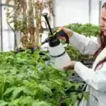 Zamanlama vacibdir: Tədqiqat geyilə bilən sensorun sağlamlıq xəbərdarlığını yaxşılaşdırmağın yollarını təklif edir