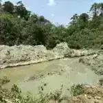 Fiziklər ayrı-ayrı nüvə parçalanmalarının mexaniki aşkarlanması üsulunu təqdim edirlər