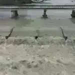 X nəsli, ABŞ-da minilliklər yaşlı nəsillərlə müqayisədə 17 xərçəngə tutulma riski daha yüksəkdir