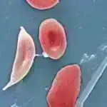 NASA kosmik gəmini asteroidə çırpdı və onun 12 milyon illik tarixi ilə bağlı təfərrüatları öyrəndi