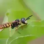 Tədqiqat iqlim dəyişikliyi ilə mübarizə aparmaq üçün CO₂-nin yeraltı saxlanmasına məhdudiyyətlər tapır