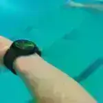 Tədqiqatçılar ilk sualtı mesajlaşma proqramını smartfonlara gətirirlər