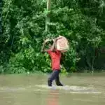 Güclü “Şanşan” qasırğası Yaponiyanın cənubuna çırpılıb