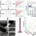 Katalitik dimetil efir karbonilləşməsində SSZ-13 seolitinə dair mexaniki anlayışlar