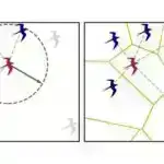 Tədqiqatçılar kompüter görmə qabiliyyətindən istifadə edərək siçanları çəkmək üçün stresssiz üsul hazırlayırlar