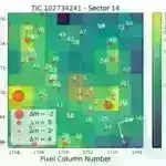 Tədqiqat 40Hz sensor stimullaşdırmanın beynin “ağ maddəni” qoruya biləcəyi yolları ortaya qoyur