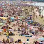 Bir qarışqanın əzanızı kəsməsinə etibar edərdinizmi? Elm göstərir ki, onlar bacarıqlı cərrahlardır