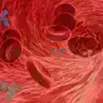 Tədqiqat fiziki və bioloji sistemlər arasındakı oxşarlığın düşündüyümüzdən daha çox ola biləcəyini müşahidə edir