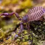 Robot qavrayışını daha da gücləndirə bilən damlacıqları hiss edən bionik elektron dəri