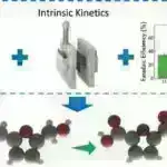Titrəmə almazın rentgen şüaları ilə çəkilən görüntülər kvant tədqiqi üçün imkanlar açır