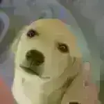 Neytron-ulduz birləşmələri kvark maddənin sirlərini işıqlandırır