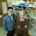 Alimlər günəş panellərinin texnoimzalarını niyə görə bilməyəcəyimizi müzakirə edirlər