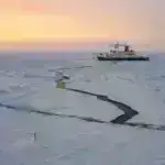 Tədqiqatçılar yeni Candida aurisi aşkar edirlər – mümkün qlobal ictimai sağlamlıq təhlükəsi