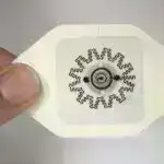 Tədqiqat viral müdafiə zülalının qadın kök hüceyrə istehsalını sürətləndirdiyini tapır