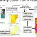 Şahmat hərəkətini parlaq edən nədir? Tədqiqatçılar bunu tapmaq üçün süni intellektdən istifadə edirlər