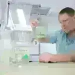 Sual və Cavab: Alimlər Floridanın Everqleydes Kənd Təsərrüfatı Bölgəsində torpağı qorumaq üçün düyü becərilməsindən istifadə edirlər