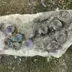 Yeni alət süni intellektlə hazırlanmış saxta elmi məqalələri aşkar edir