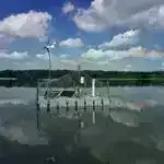 Tədqiqatın nəticələrinə görə, bədən temperaturu yüksək olan heyvanların ot yeyən heyvanlara çevrilmə ehtimalı daha yüksəkdir