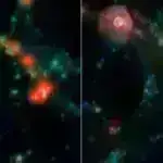 Mikroorqanizm tədqiqatını demokratikləşdirmək üçün əlverişli qiymətli izləmə mikroskopu