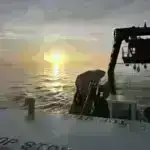 Yeni tədqiqatlar kənd təsərrüfatının torpaq mikrobiomuna və göbələk icmalarına təsirini göstərir