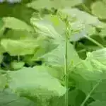 Tədqiqat əxlaqi dəyərlərdə mövsümi dəyişiklikləri tapır