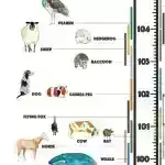 Tədqiqatçılar dairəvi bioiqtisadiyyatın kəmiyyətini müəyyən etmək üçün indeks hazırlayırlar