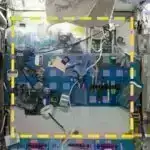 Diş böyüməsi halqalarından istifadə edən elm adamları qədim və müasir məməlilər arasında böyümə modellərində fərqləri aşkar edirlər