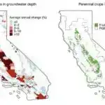 Süni intellekt və peyk təsvirləri Koloradoda meşə yanğınlarını böyümədən aşkar etməyə necə kömək edir