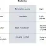 Cənubi Asiyada havanın çirklənməsi 2022-ci ildə azaldı, lakin əsas qatil olaraq qalır: hesabat