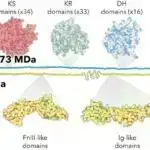 Tədqiqatçılar nanovoidlərin materialın performansını yaxşılaşdırdığını göstərir