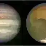 Şənbə Sitatları: Boeing üçün nadir səhv addım; siçan oyuncaqları və kalorilərin məhdudlaşdırılması; insan beyni sinxronlaşır