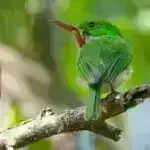 Elm adamları günəş işığı, alkoqol və çirklənmənin səbəb olduğu DNT zədəsinin aşkarlanması və bərpası sirrini həll edirlər